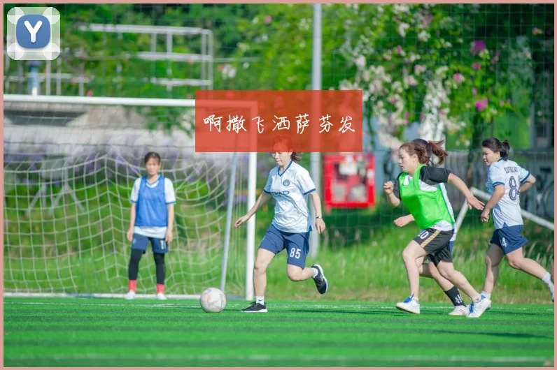 世界杯最新安全措施:安保升级与球迷行为指南